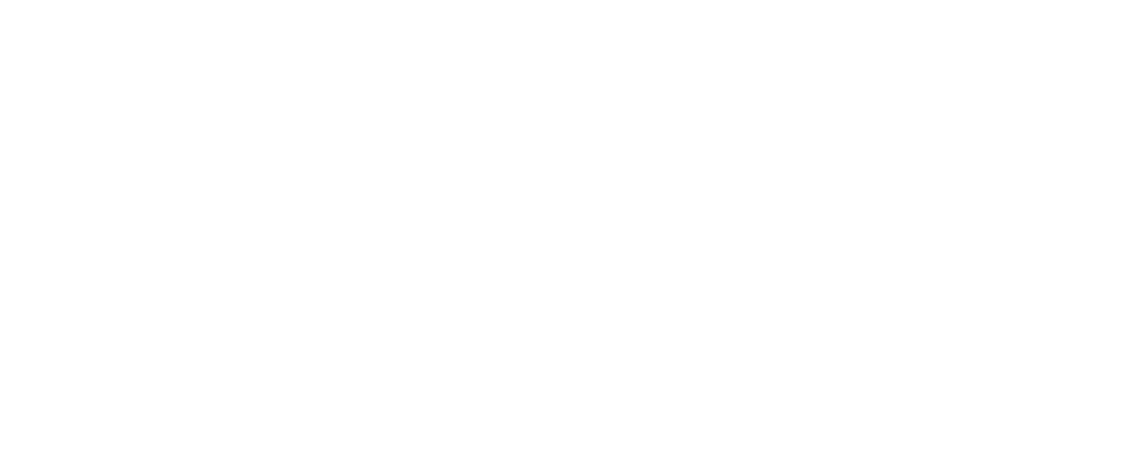 VERICROSS